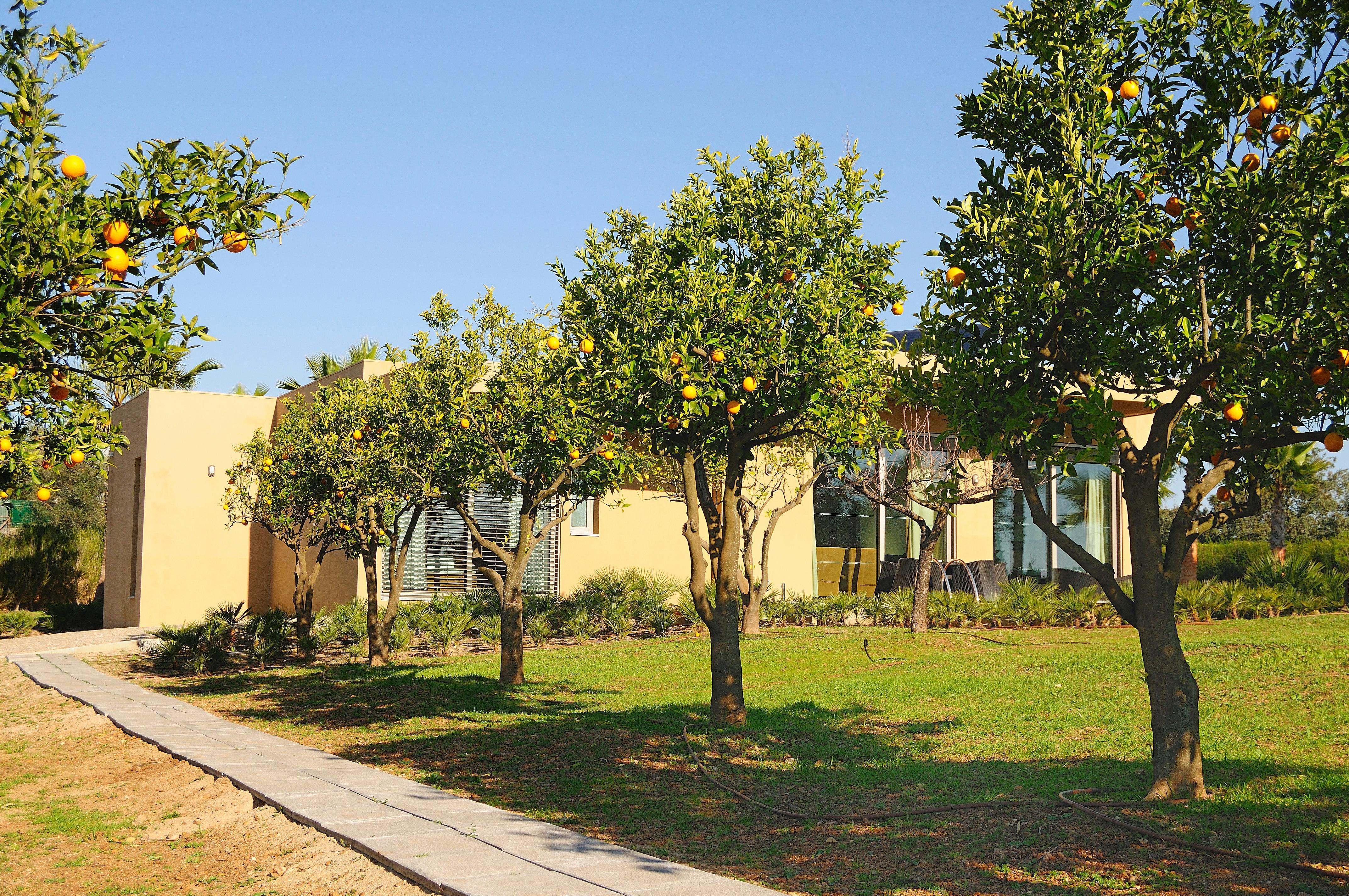 Montargil Monte Novo Hotel Exterior photo